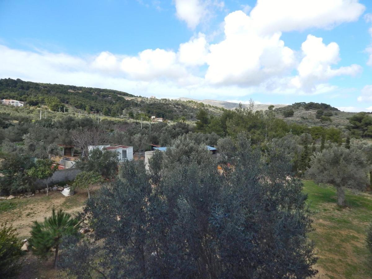 Apartament Οδυσσεια, Κοντά Σε Αεροδρόμιο, Λιμάνια Και Θάλασσες Keratea Zewnętrze zdjęcie
