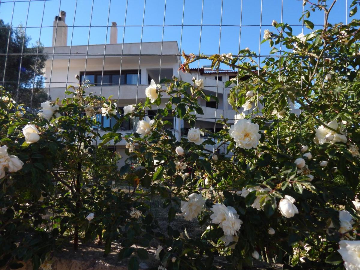Apartament Οδυσσεια, Κοντά Σε Αεροδρόμιο, Λιμάνια Και Θάλασσες Keratea Zewnętrze zdjęcie