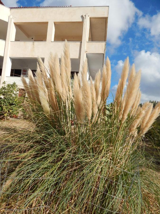 Apartament Οδυσσεια, Κοντά Σε Αεροδρόμιο, Λιμάνια Και Θάλασσες Keratea Zewnętrze zdjęcie