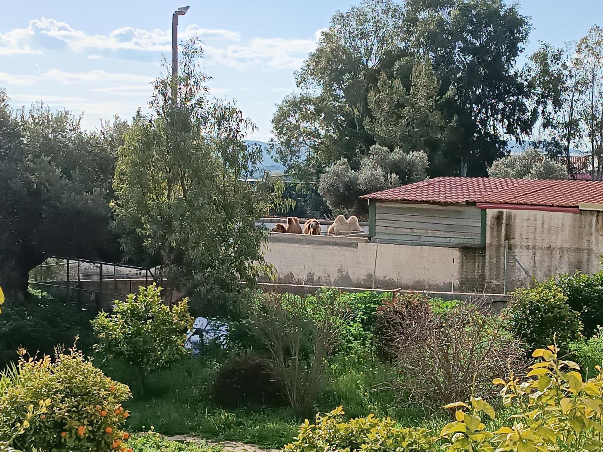 Apartament Οδυσσεια, Κοντά Σε Αεροδρόμιο, Λιμάνια Και Θάλασσες Keratea Zewnętrze zdjęcie